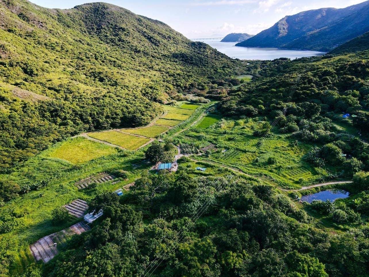 Tai O nature landscape