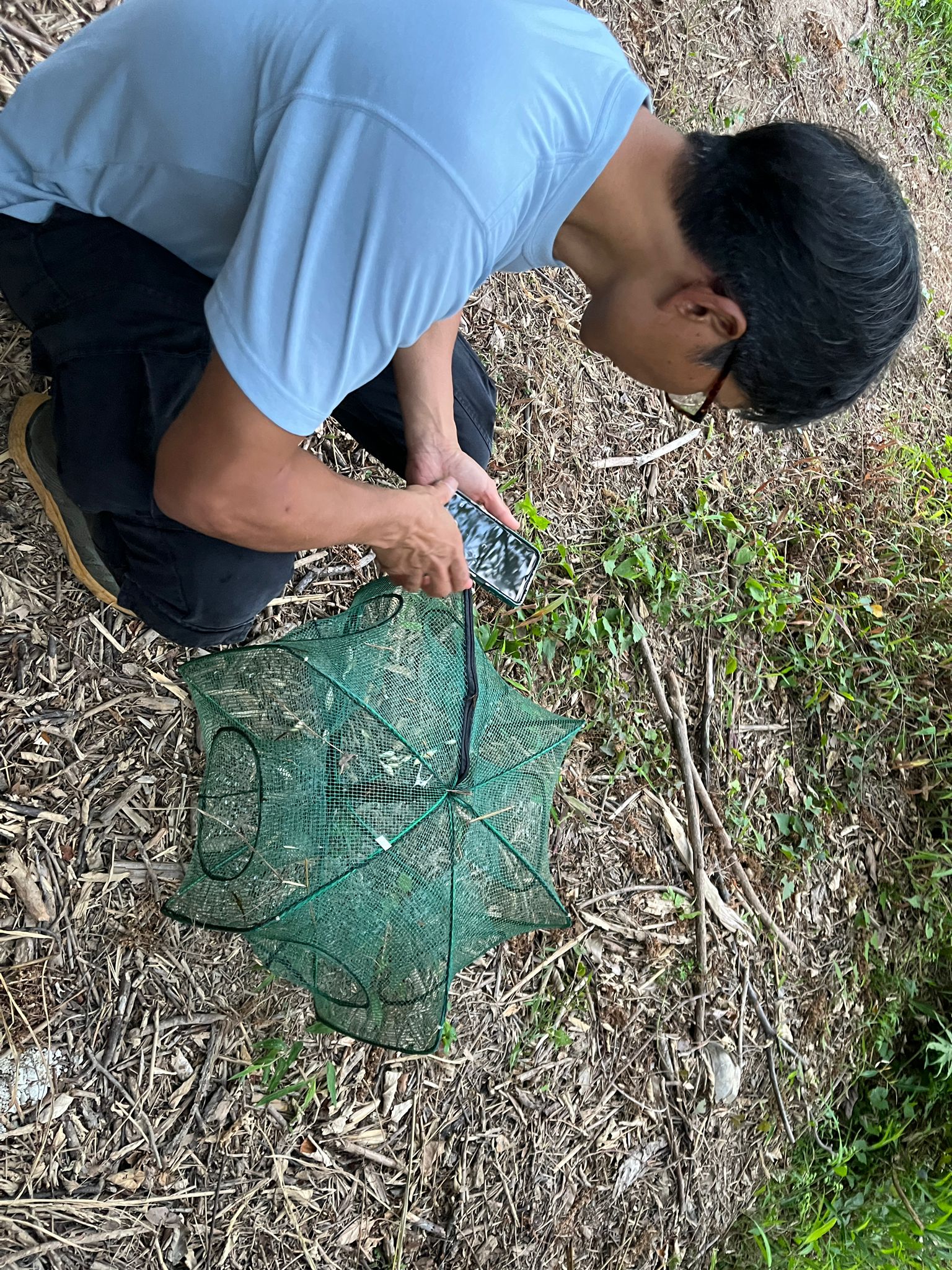 設置陷阱與捕捉
