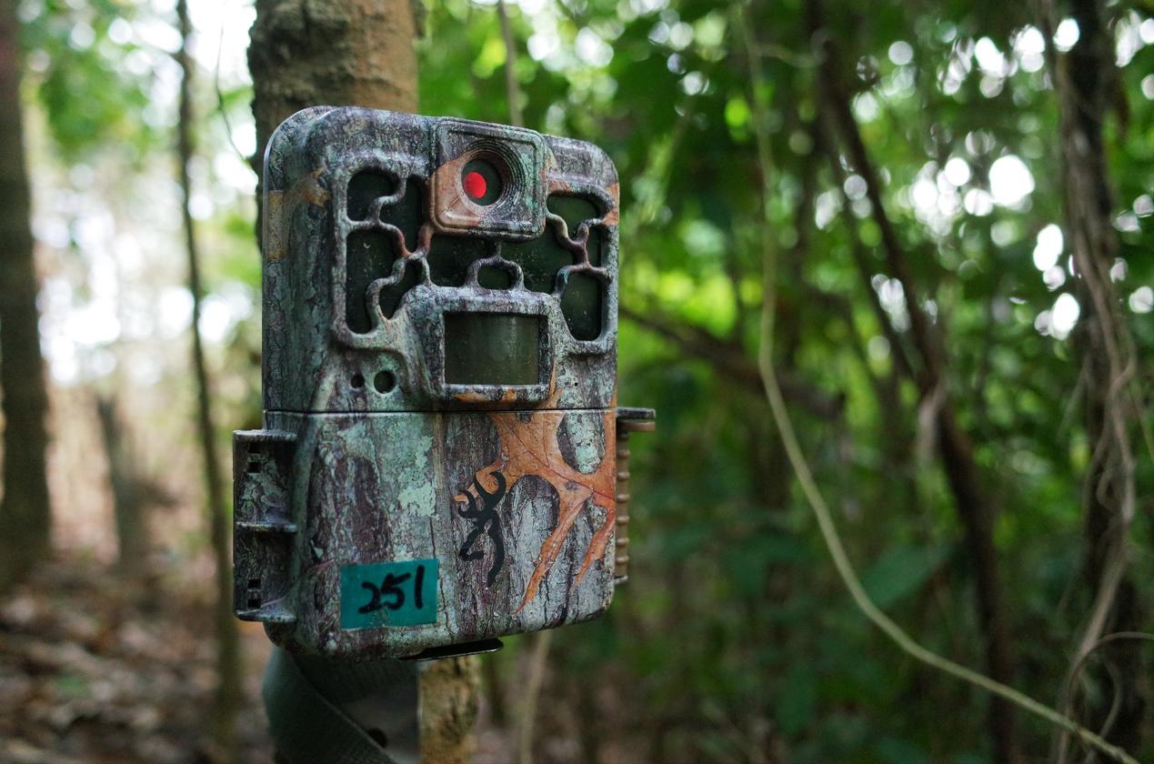 紅外線戶外相機